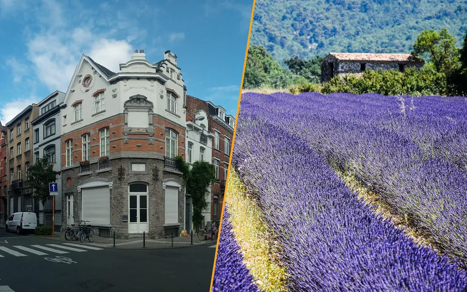 A Brussels street corner with town houses on the left, a lavender field with a stone barn in Provence on the right